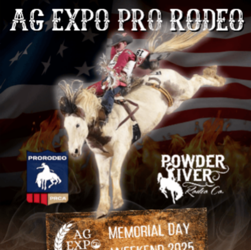 AG Expo Pro Rodeo Tickets