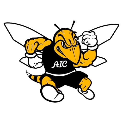 American International Yellow Jackets Basketball