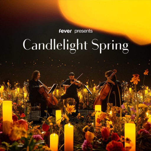 Candlelight: A Tribute to Beyonce Portland Tickets
