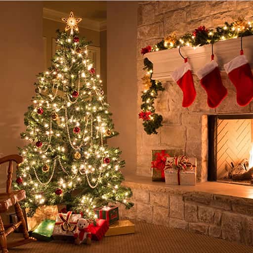 Christmas Show - Joy to The World Portland Tickets