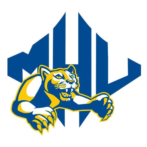 Mars Hill Mountain Lions Basketball