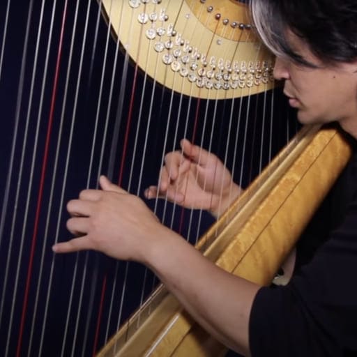 Open Harp Workshop Portland Tickets
