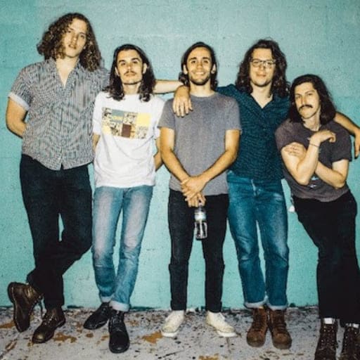 Post Animal in Portland