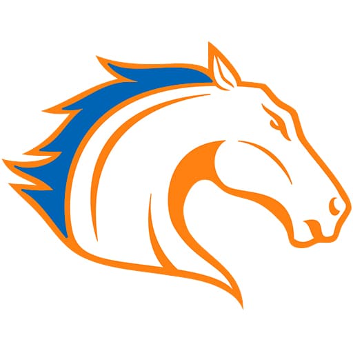 Texas Arlington Mavericks Tickets