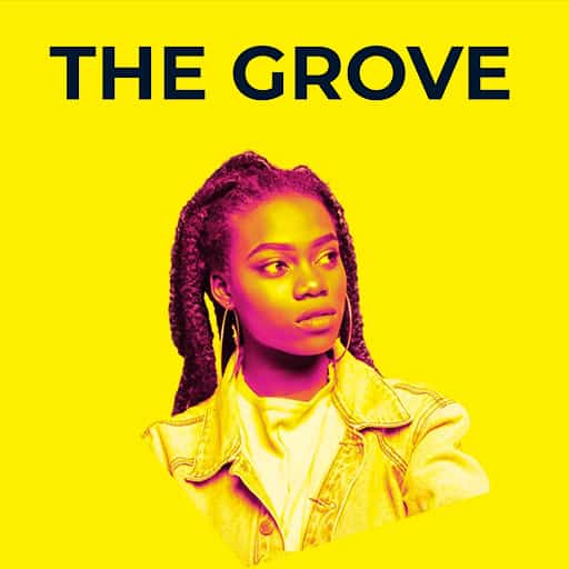 The Grove in Portland