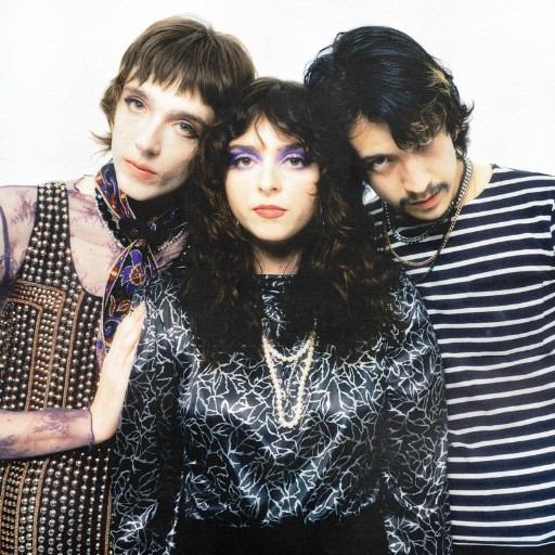 The Velveteers in Portland