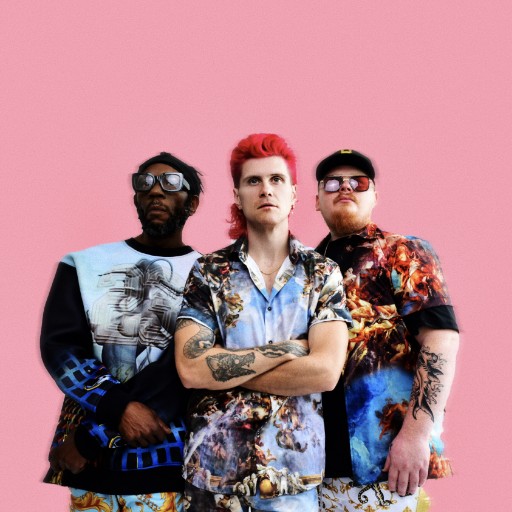 Too Many Zooz in Portland