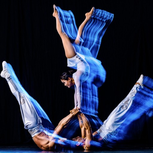 Troupe Vertigo Portland Tickets